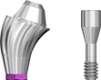 Picture of NEW DESIGN COMING SOON!
Angled Multi Unit Abutment, NP, 17 degree, 3.0mm collar. Includes abutment screw option for Multi Unit Abutments product (BlueSkyBio.com)