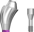 Picture of NEW DESIGN COMING SOON!
Angled Multi Unit Abutment, NP, 17 degree, 4.5mm collar. Includes abutment screw option for Multi Unit Abutments product (BlueSkyBio.com)