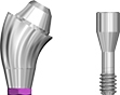 Picture of NEW DESIGN COMING SOON!
Angled Multi Unit Abutment, NP, 17 degree, 3.0mm collar. Includes abutment screw option for Multi Unit Abutments product (BlueSkyBio.com)