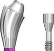 Picture of NEW DESIGN COMING SOON!
Angled Multi Unit Abutment, NP, 17 degree, 4.5mm collar. Includes abutment screw. option for Multi Unit Abutments product (BlueSkyBio.com)