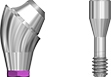 Picture of NEW DESIGN COMING SOON!
Angled Multi Unit Abutment, NP, 17 degree, 1.5mm collar. Includes abutment screw. option for Multi Unit Abutments product (BlueSkyBio.com)
