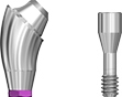 Picture of NEW DESIGN COMING SOON!
Angled Multi Unit Abutment, NP, 17 degree, 3.0mm collar. Includes abutment screw. option for Multi Unit Abutments product (BlueSkyBio.com)