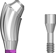 Picture of NEW DESIGN COMING SOON!
Angled Multi Unit Abutment, NP, 17 degree, 4.5mm collar. Includes abutment screw. option for Multi Unit Abutments product (BlueSkyBio.com)