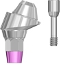 Picture of Angled Abutment Multi Unit, Regular Platform, 17 degree, Quattro, includes abutment screw option for Abutment Regular Platform product (BlueSkyBio.com)