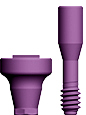 Picture of Ø4.8 x 3mm Scannable Healing Abutment, Narrow Platform option for  Scannable Healing Abutments product (BlueSkyBio.com)