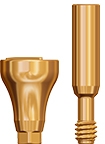 Picture of Ø6.5 x 7mm Scannable Healing Abutment, Regular Platform option for Scannable Healing Abutments - <span style="color:#ff0000">COMING SOON!</span> product (BlueSkyBio.com)