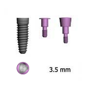 Picture of 3.5mm Implants (BlueSkyBio.com)