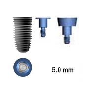 Picture of 6.0mm Implants - 5.0 Platform Switch (BlueSkyBio.com)