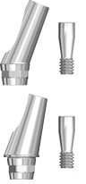 Picture of Angled Abutments (BlueSkyBio.com)