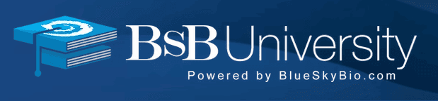 BSB University Logo